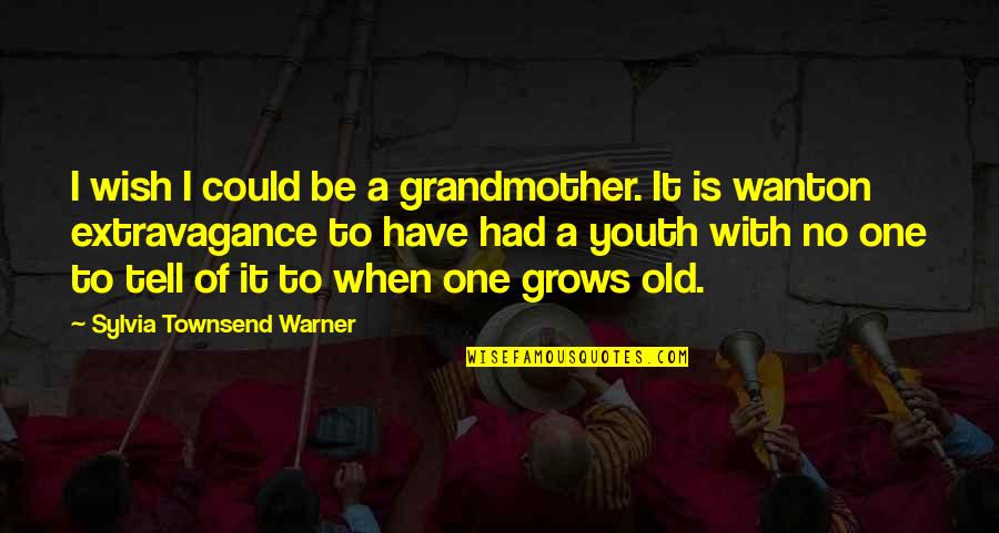 I Wish I Could Have Quotes By Sylvia Townsend Warner: I wish I could be a grandmother. It