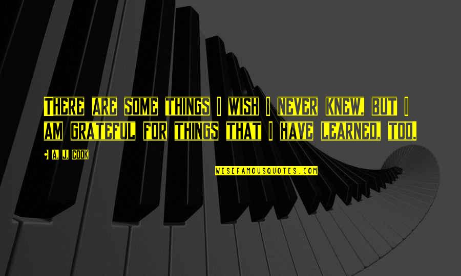 I Wish I Knew You Quotes By A. J. Cook: There are some things I wish I never I Wish I Knew You Quotes By A. J. Cook: There are some things I wish I never