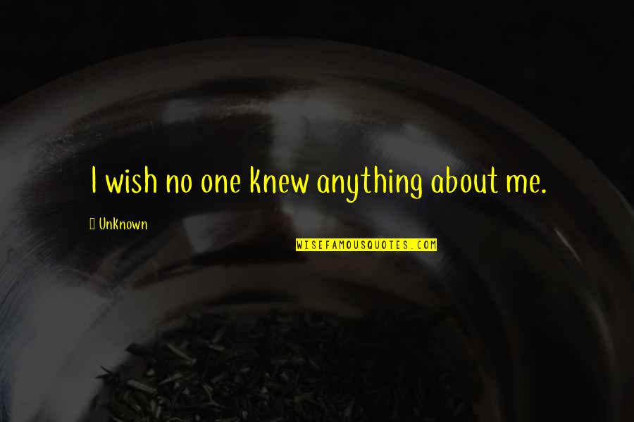 I Wish I Knew You Quotes By Unknown: I wish no one knew anything about me. I Wish I Knew You Quotes By Unknown: I wish no one knew anything about me.
