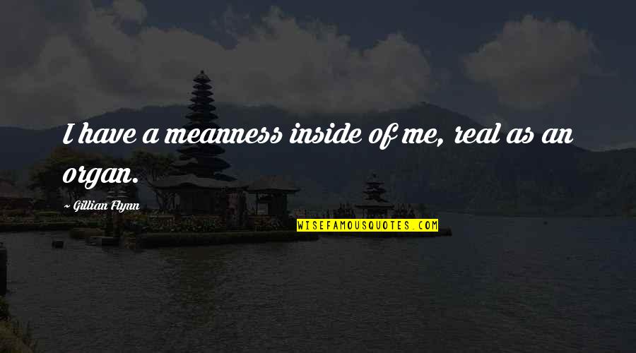 I Wish I Never Existed Quotes By Gillian Flynn: I have a meanness inside of me, real