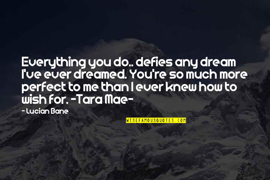 I Wish I Was Perfect For You Quotes By Lucian Bane: Everything you do.. defies any dream I've ever I Wish I Was Perfect For You Quotes By Lucian Bane: Everything you do.. defies any dream I've ever