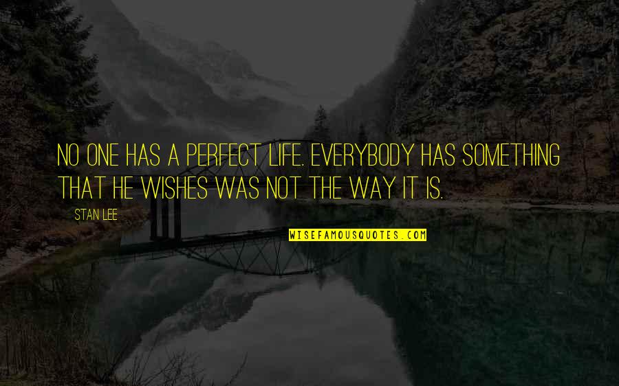 I Wish I Was Perfect For You Quotes By Stan Lee: No one has a perfect life. Everybody has