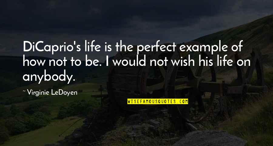 I Wish I Was Perfect For You Quotes By Virginie LeDoyen: DiCaprio's life is the perfect example of how I Wish I Was Perfect For You Quotes By Virginie LeDoyen: DiCaprio's life is the perfect example of how