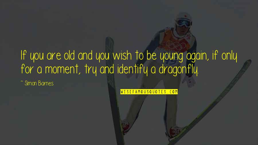 I Wish I Was Young Again Quotes By Simon Barnes: If you are old and you wish to I Wish I Was Young Again Quotes By Simon Barnes: If you are old and you wish to