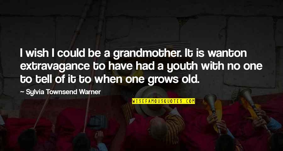 I Wish Quotes By Sylvia Townsend Warner: I wish I could be a grandmother. It
