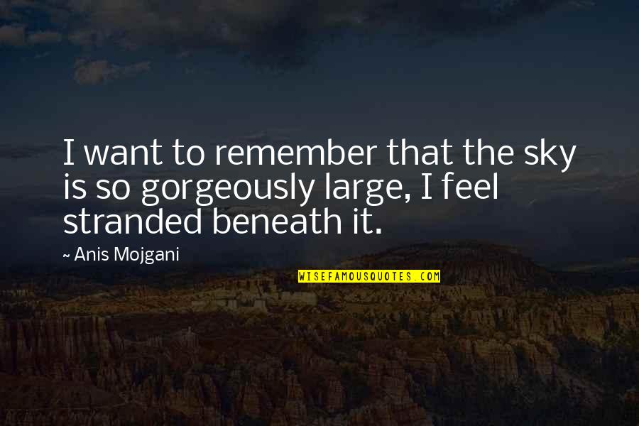 I Wish That Your Grandchildren Are Biracial Quotes By Anis Mojgani: I want to remember that the sky is