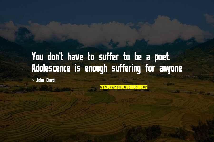 I Wish That Your Grandchildren Are Biracial Quotes By John Ciardi: You don't have to suffer to be a