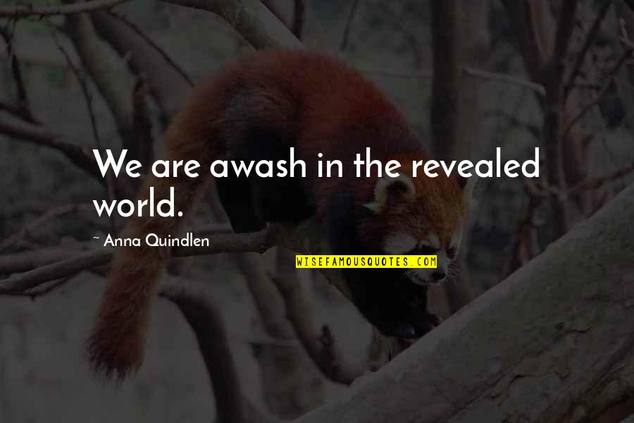 I Wish We Could Be Together Forever Quotes By Anna Quindlen: We are awash in the revealed world.