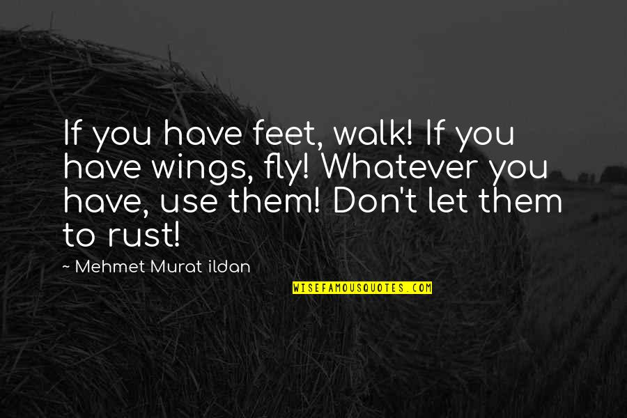 I Wish You Could Feel My Pain Quotes By Mehmet Murat Ildan: If you have feet, walk! If you have