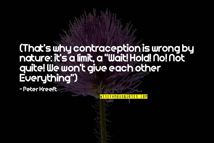 I Won Wait Quotes By Peter Kreeft: (That's why contraception is wrong by nature: it's