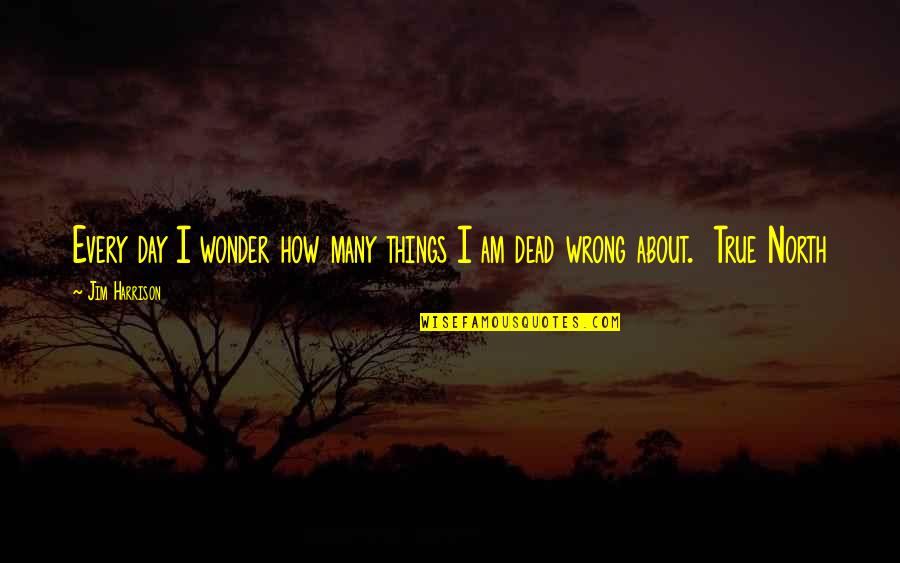 I Wonder About You Quotes By Jim Harrison: Every day I wonder how many things I