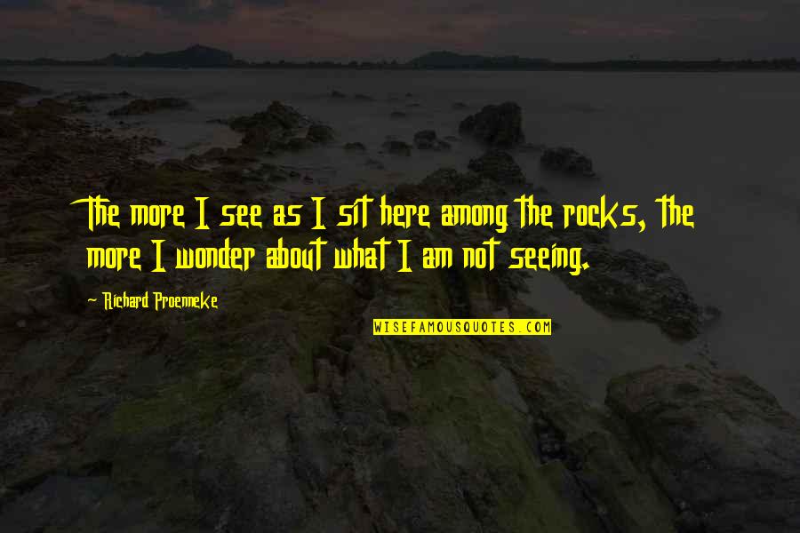 I Wonder About You Quotes By Richard Proenneke: The more I see as I sit here