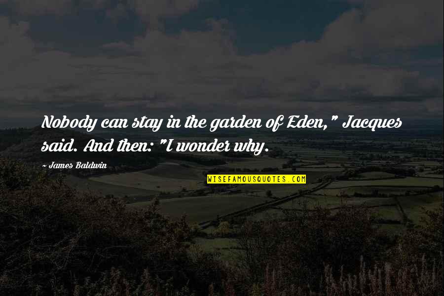 I Wonder Why Quotes By James Baldwin: Nobody can stay in the garden of Eden,"
