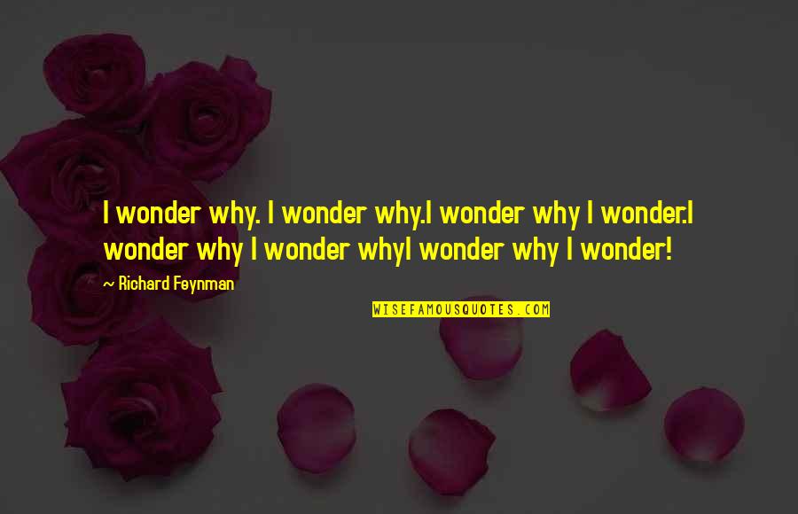 I Wonder Why Quotes By Richard Feynman: I wonder why. I wonder why.I wonder why