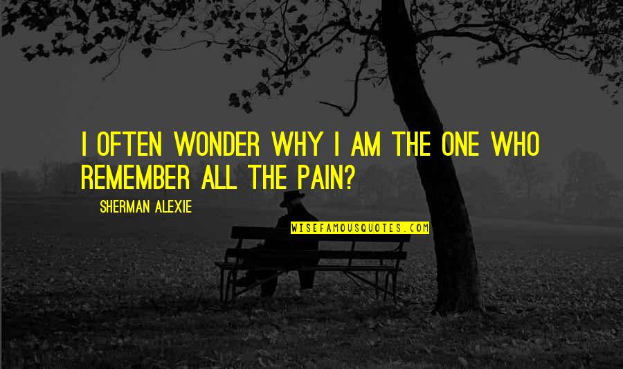 I Wonder Why Quotes By Sherman Alexie: I often wonder why I am the one