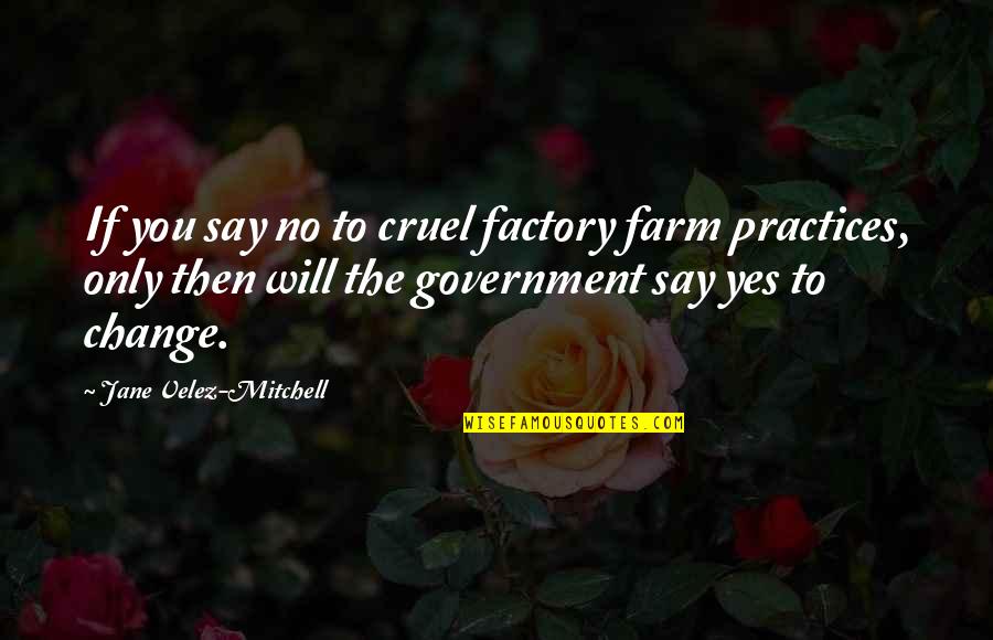 I Won't Beg U Quotes By Jane Velez-Mitchell: If you say no to cruel factory farm