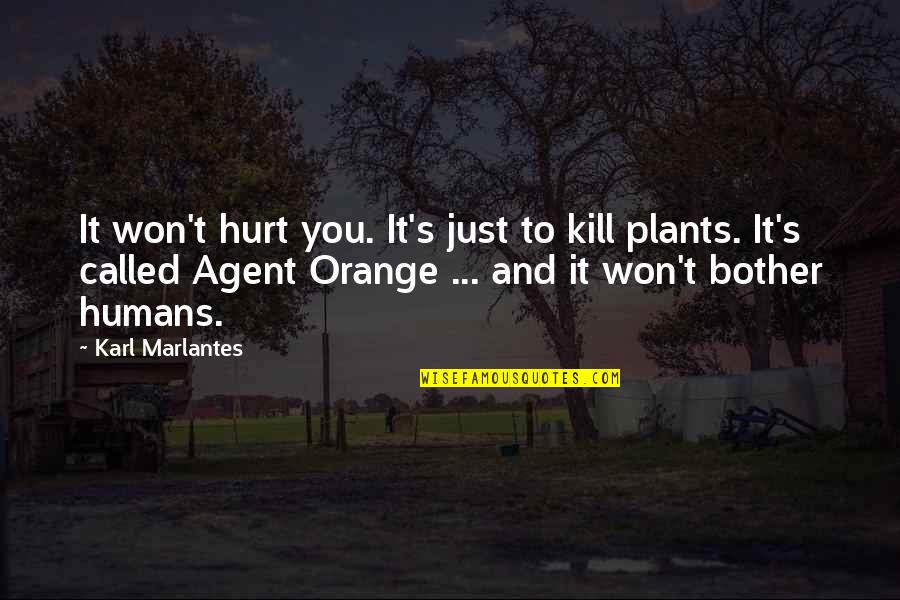 I Won't Bother You Quotes By Karl Marlantes: It won't hurt you. It's just to kill