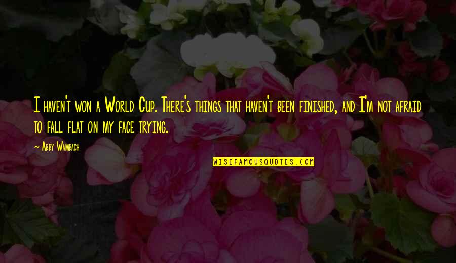 I Won't Fall Quotes By Abby Wambach: I haven't won a World Cup. There's things