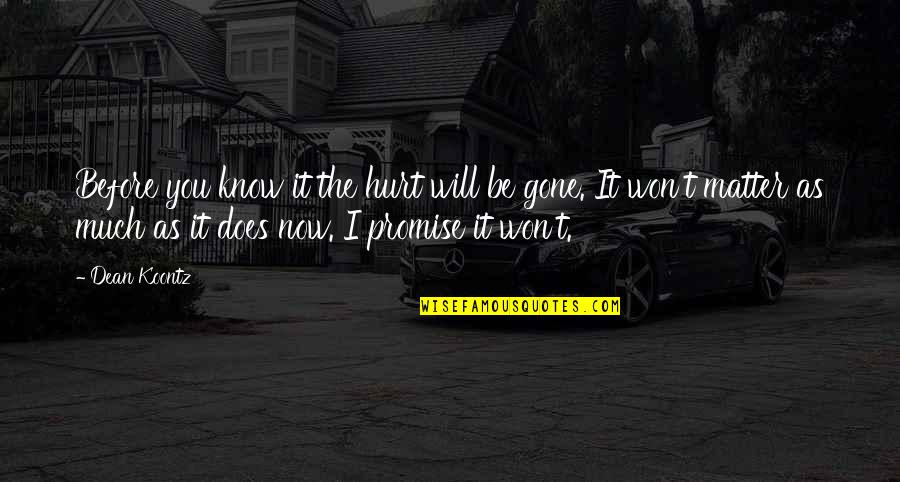 I Won't Hurt You Quotes By Dean Koontz: Before you know it the hurt will be