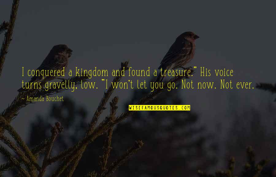 I Won't Let You Go Quotes By Amanda Bouchet: I conquered a kingdom and found a treasure."