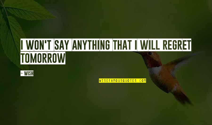 I Won't Regret You Quotes By Wish: I won't say anything that I will regret