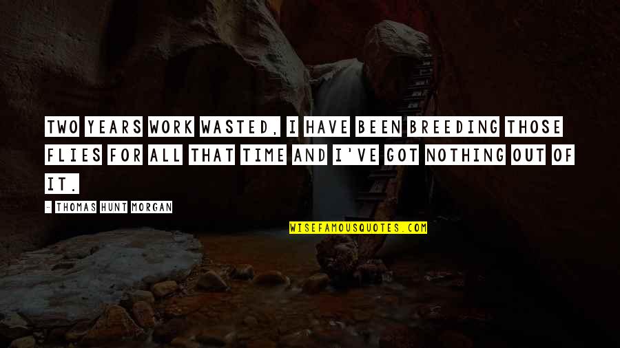 I Work For It Quotes By Thomas Hunt Morgan: Two years work wasted, I have been breeding I Work For It Quotes By Thomas Hunt Morgan: Two years work wasted, I have been breeding