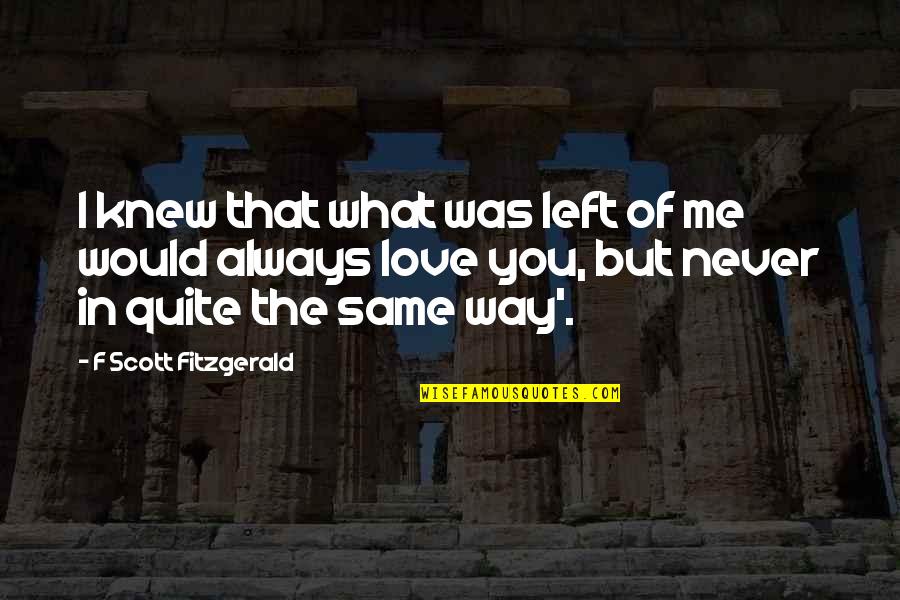 I Would Always Love You Quotes By F Scott Fitzgerald: I knew that what was left of me