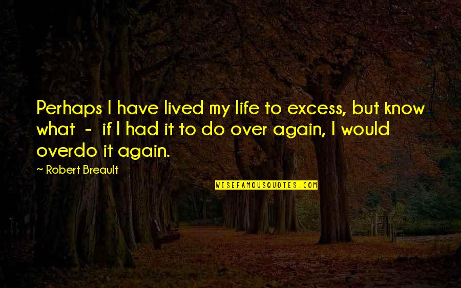 I Would Do It All Again Quotes By Robert Breault: Perhaps I have lived my life to excess,