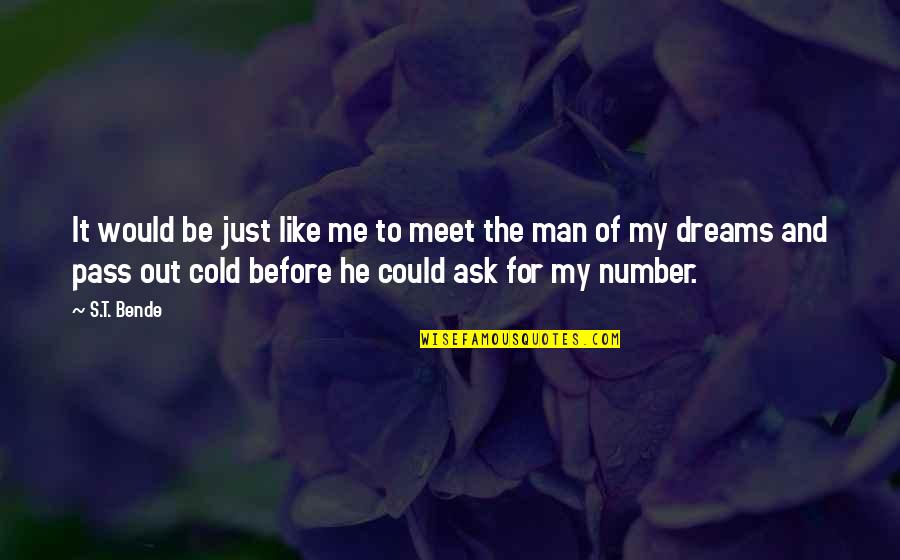 I Would Like To Meet You Quotes By S.T. Bende: It would be just like me to meet