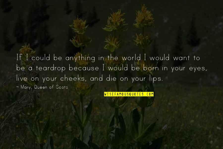 I Would Love To Die Quotes By Mary, Queen Of Scots: If I could be anything in the world I Would Love To Die Quotes By Mary, Queen Of Scots: If I could be anything in the world