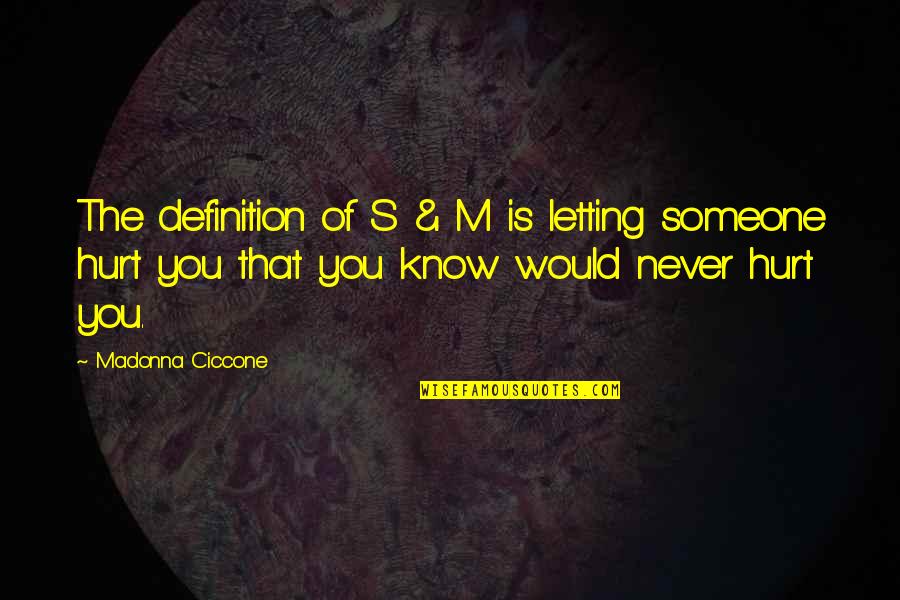 I Would Never Hurt You Quotes By Madonna Ciccone: The definition of S & M is letting