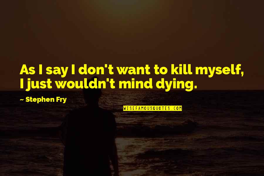 I Wouldn't Mind Dying Quotes By Stephen Fry: As I say I don't want to kill