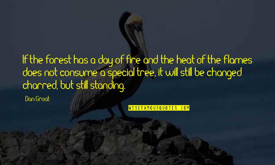 Iactura Latin Quotes By Dan Groat: If the forest has a day of fire Iactura Latin Quotes By Dan Groat: If the forest has a day of fire