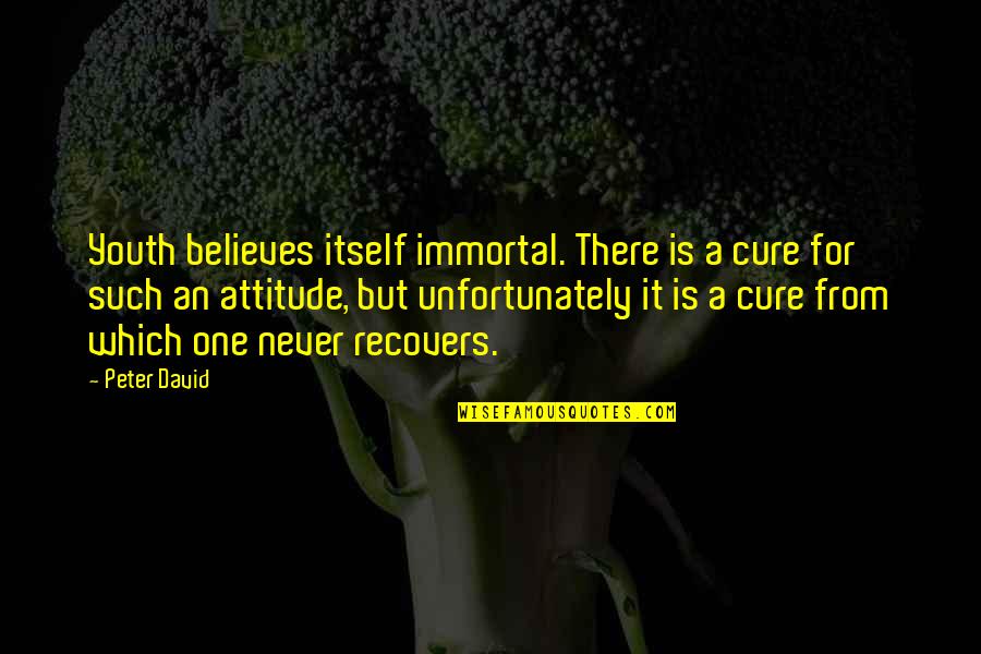 Iago Animalistic Quotes By Peter David: Youth believes itself immortal. There is a cure