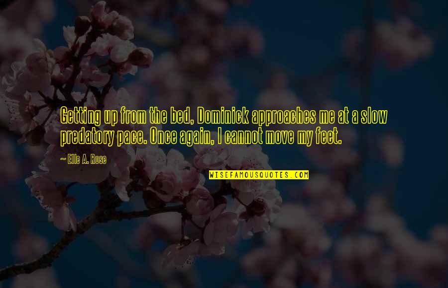 Iago Sadistic Quotes By Elle A. Rose: Getting up from the bed, Dominick approaches me