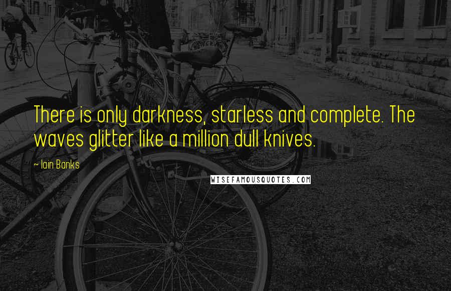 Iain Banks quotes: There is only darkness, starless and complete. The waves glitter like a million dull knives.