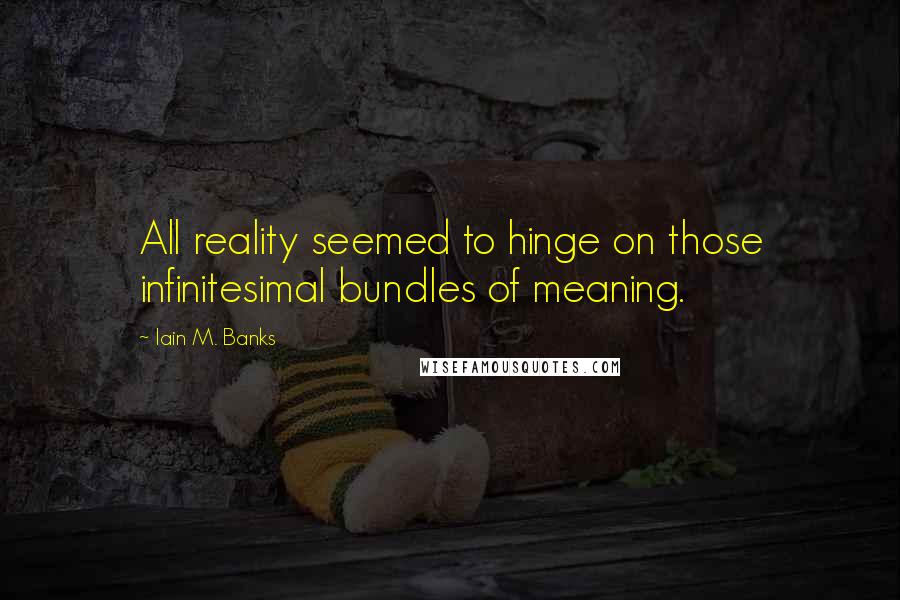 Iain M. Banks quotes: All reality seemed to hinge on those infinitesimal bundles of meaning.