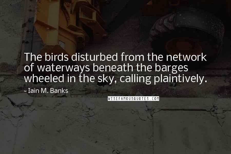 Iain M. Banks quotes: The birds disturbed from the network of waterways beneath the barges wheeled in the sky, calling plaintively. Iain M. Banks quotes: The birds disturbed from the network of waterways beneath the barges wheeled in the sky, calling plaintively.