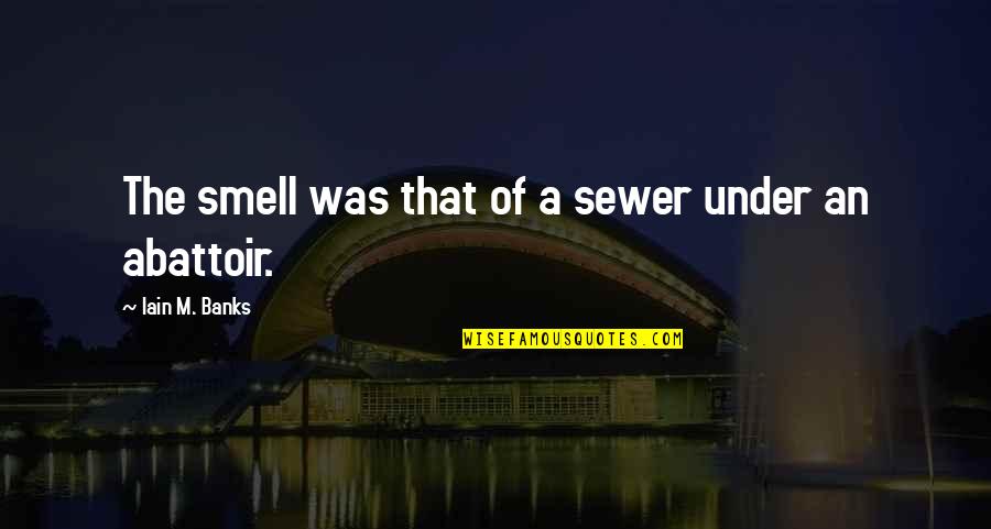 Iain M Banks Quotes By Iain M. Banks: The smell was that of a sewer under
