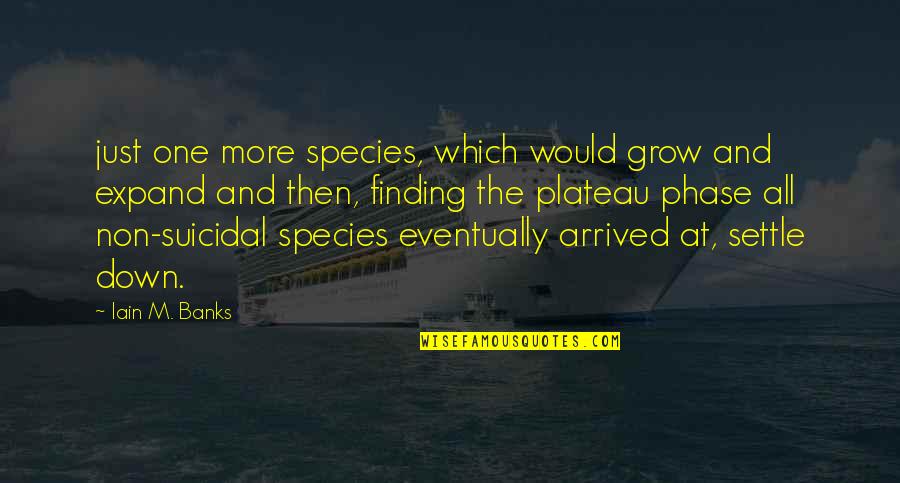 Iain Quotes By Iain M. Banks: just one more species, which would grow and Iain Quotes By Iain M. Banks: just one more species, which would grow and
