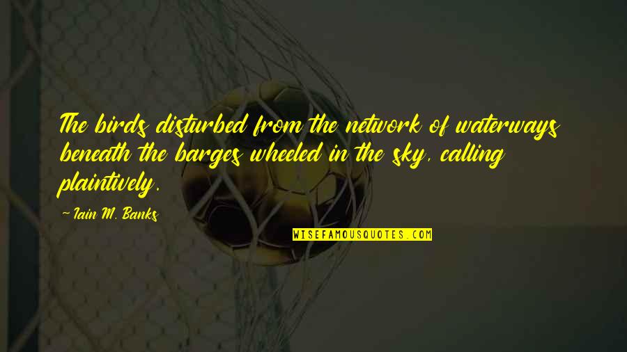 Iain Quotes By Iain M. Banks: The birds disturbed from the network of waterways