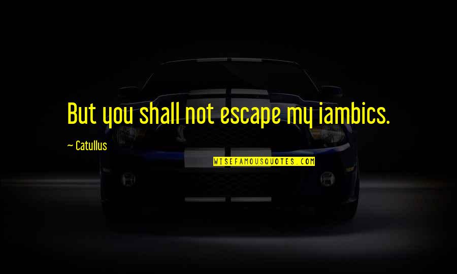 Iambics Quotes By Catullus: But you shall not escape my iambics.