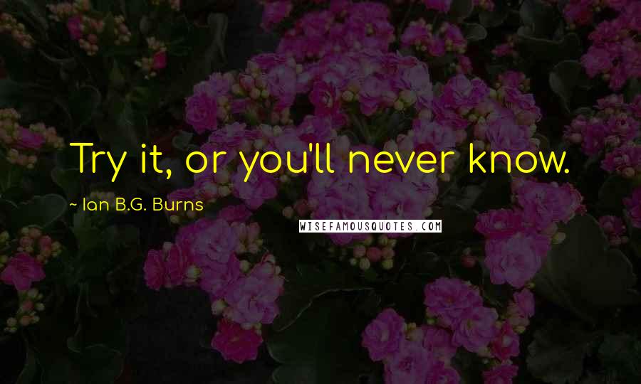 Ian B.G. Burns quotes: Try it, or you'll never know.