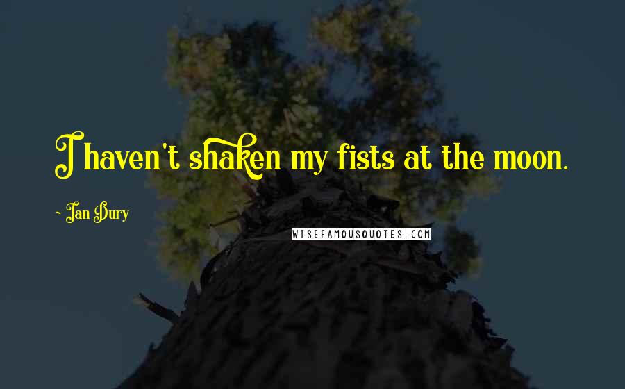 Ian Dury quotes: I haven't shaken my fists at the moon.