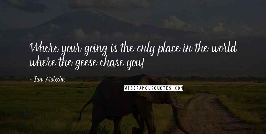 Ian Malcolm quotes: Where your going is the only place in the world where the geese chase you!