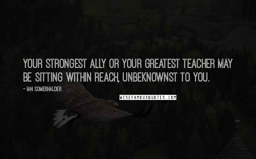 Ian Somerhalder quotes: Your strongest ally or your greatest teacher may be sitting within reach, unbeknownst to you.