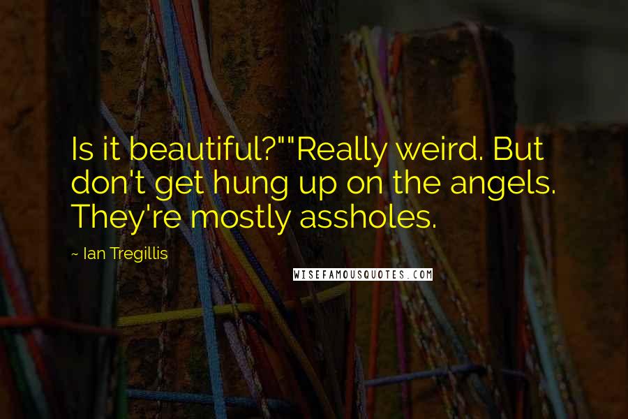 Ian Tregillis quotes: Is it beautiful?""Really weird. But don't get hung up on the angels. They're mostly assholes.