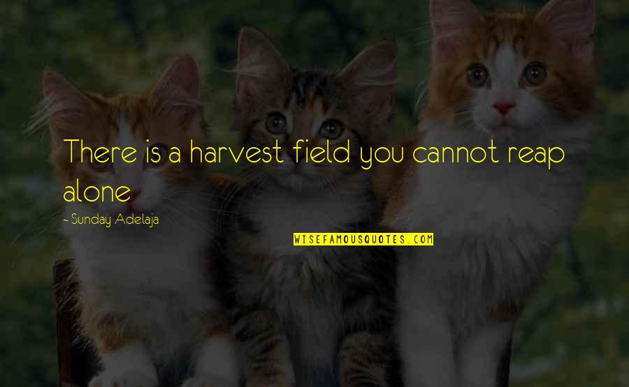 Iatrogenic Pronunciation Quotes By Sunday Adelaja: There is a harvest field you cannot reap