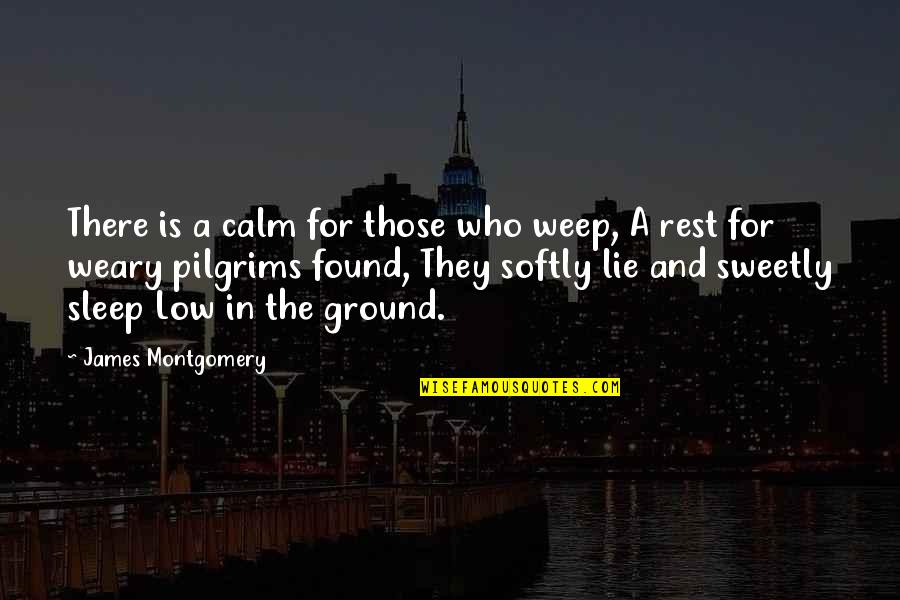 Ibabao Elementary Quotes By James Montgomery: There is a calm for those who weep,