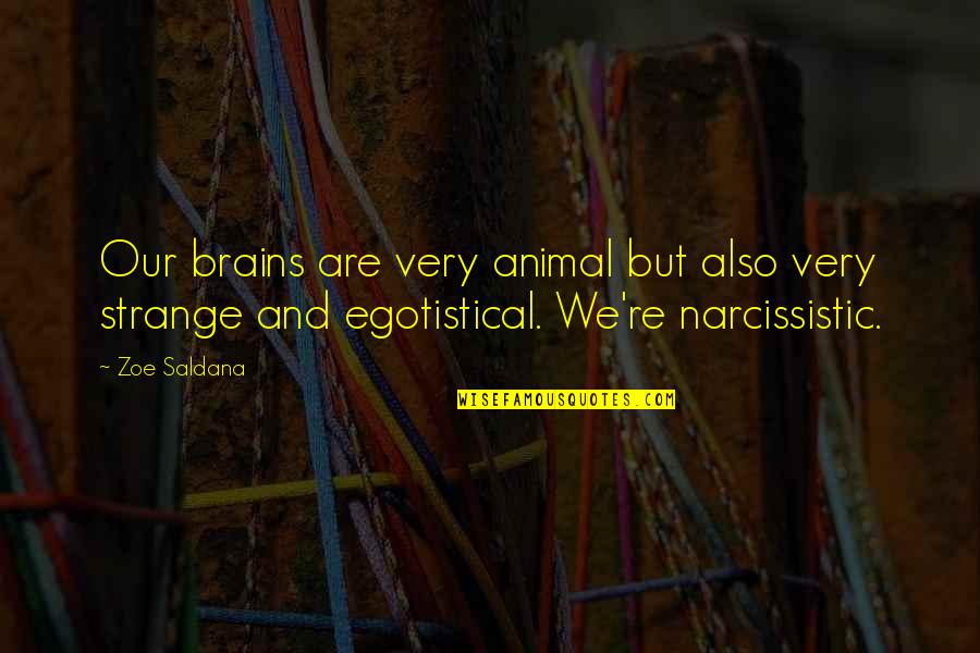 Iban Funny Quotes By Zoe Saldana: Our brains are very animal but also very